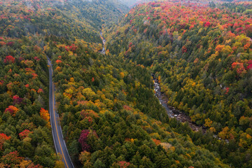 Aerial of Blackwater River and Canyon on Cloudy Day in Autumn - Blackwater Falls State Park - Appalachian Mountain Region - West Virginia - 515489895