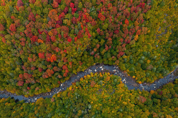 Aerial of Blackwater River and Canyon on Cloudy Day in Autumn - Blackwater Falls State Park - Appalachian Mountain Region - West Virginia - 515489896