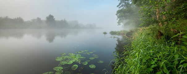Beautiful foggy morning over the river banks - obrazy, fototapety, plakaty