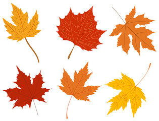 maple leaves in flat style, set isolated, vector