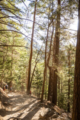 Die Samaria-Schlucht auf Kreta - Der Gran Canyon Europas