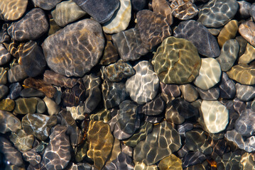 Colorful stones in the water at the bottom of the sea. Background. Nature.