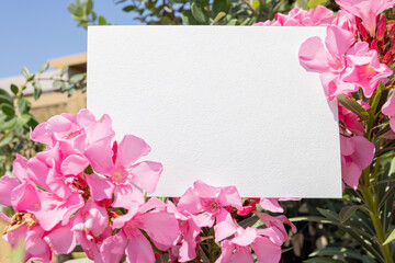 Flat card on tropical flowers outside for web background design. White isolated background. Abstract landscape background. Happy holiday. Web banner template. Natural beauty.