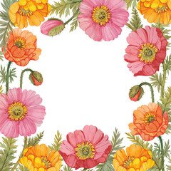 Fototapeta premium Floral square frame with poppies painted in watercolor and isolated on a white background. Template for postcards, posters, invitations, greetings, forms, flyers and more.
