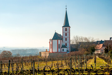 Early springtime at Hochheim am Main in the Main-Taunus district of the German state of Hesse, Germany with old church and barren vineyards - obrazy, fototapety, plakaty