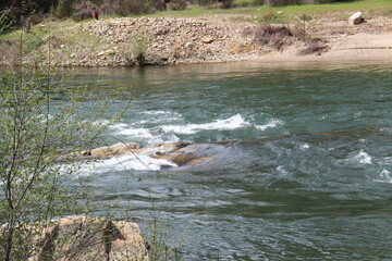 American river in Coloma, California