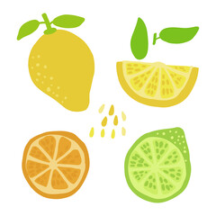 Lemon and lemon slice, orange slice, lime half clipart. Summer juice isolated citrus yellow green hand drawn illustration for menu, card, tshirt design
