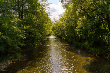 Obraz premium The river between the trees 