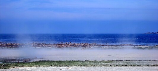 Seenebel in der Bretagne