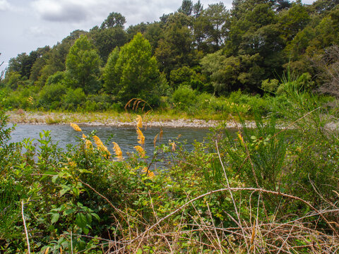 Rivers Edge Tongariro River