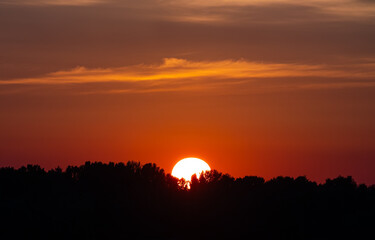 Red Sunset over the forest. The sun goes down to the horizon. The sun hides behind the trees. Sun close-up. Background