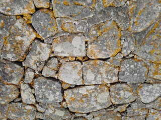 Obraz premium Flechten auf Steinen