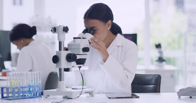 Woman technician analyzing organisms using a microscope and a device. Young female scientists entering sample results into a tablet in a research lab. A science student doing her exam in a laboratory