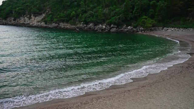 Sassolini beach and trees on the mountain hill.
