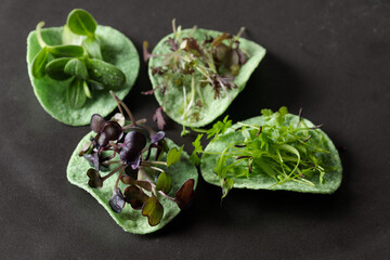 green chips with micro greenery, close-up, selective focus