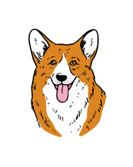 Corgi dog face. Vector cartoon portrait of a dog. Pets, dog lovers, animal themed design element isolated on white background.