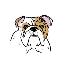 English Bulldog dog face. Vector cartoon portrait of a dog. Pets, dog lovers, animal themed design element isolated on white background.