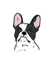 French bulldog dog face. Vector cartoon portrait of a dog. Pets, dog lovers, animal themed design element isolated on white background.