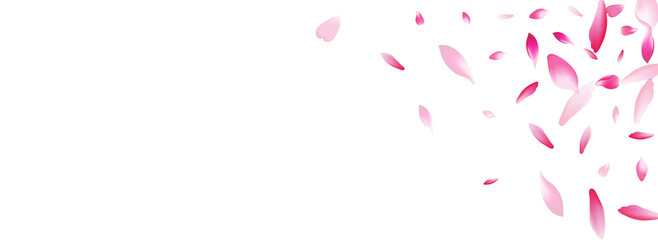 Transparent Apple Petal Vector Panoramic