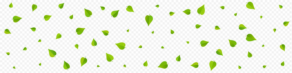 Swamp Greens Tea Vector Panoramic Transparent