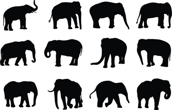The set of the Elephant silhouette collection