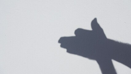 Man making grey shadow of barking dog. Gesturing with two male hands of animal head isolated on white wall background. 4k stock video footage of silhouette of barking dog - Powered by Adobe