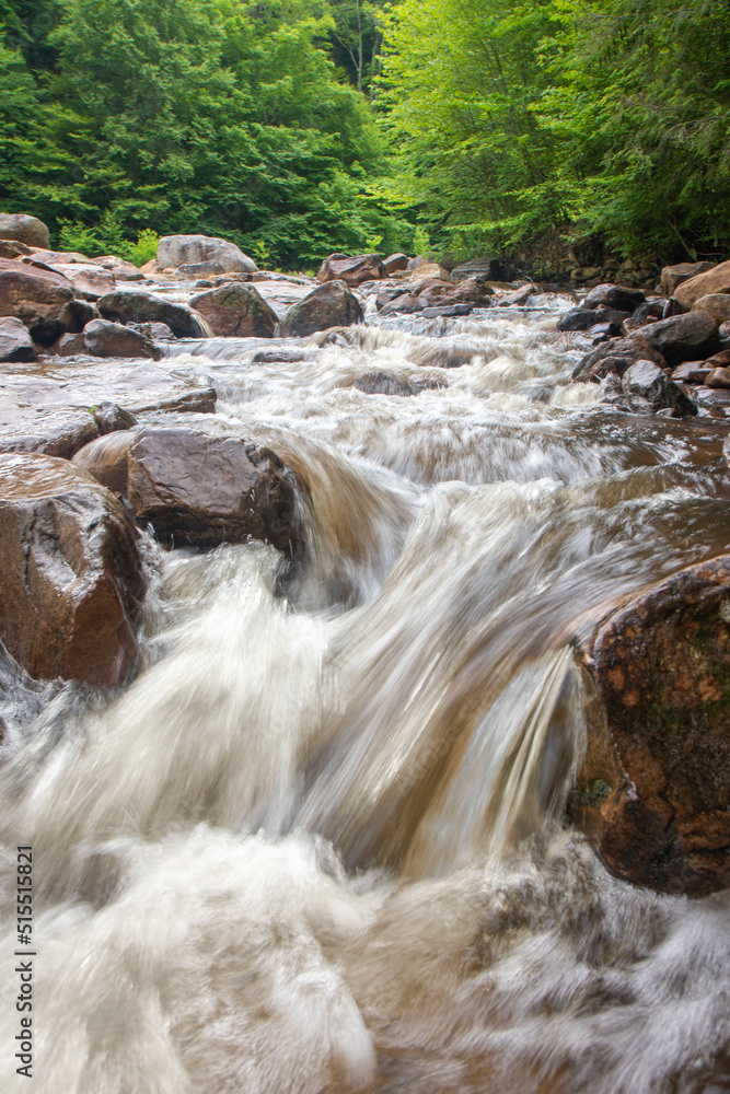 Wall mural water rushing over rocks along river rapids in forest