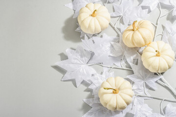 Halloween concept. Ghostly white maple leaves on a branch and white pumpkins