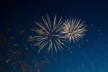 Obraz premium Firework over the blue sky at night, white, orange. Amateur photo. Noise. Grain.