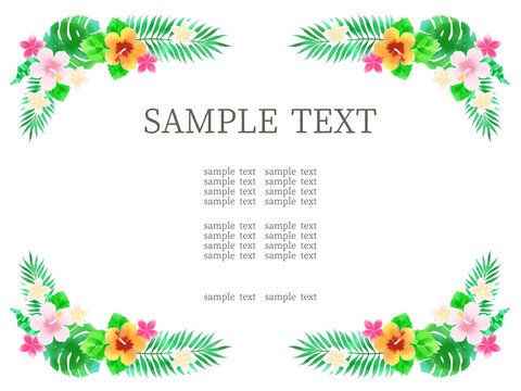 Konohana Photos Images Assets Adobe Stock