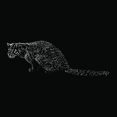 African Palm Civet hand drawing vector illustration isolated on black background