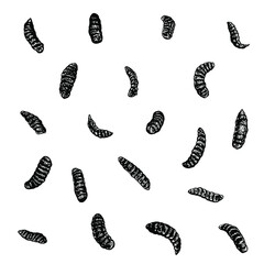 maggot hand drawing vector illustration isolated on background