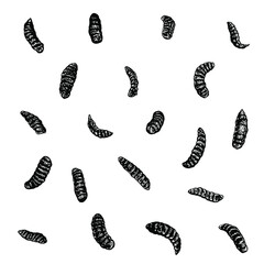 maggot hand drawing vector illustration isolated on background