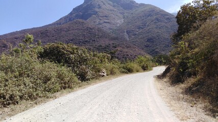 CAMINO 07