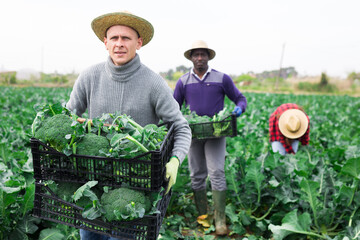 Portrait of handsome man farmer holding crate with broccoli in farm