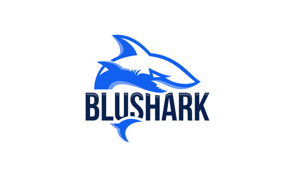 illustration vector graphic logo design, mascot logo blue shark, masculine modern style