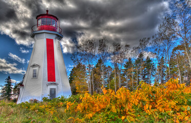 lighthouse with forest