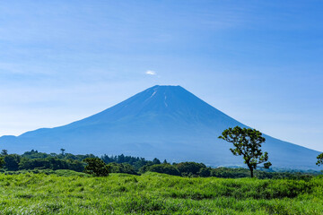 Fototapeta premium 静岡県富士宮市朝霧高原からの富士山