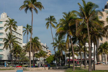 Naklejka premium Art Deco South Beach with a group of palm trees in the foreground.