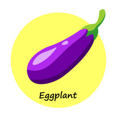 Vector illustration of an eggplant on a yellow round background