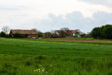 Green meadow besides small village.Agricultural landscape.