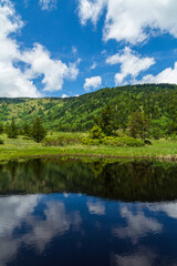 初夏の草津温泉芳ヶ平湿原ハイキング