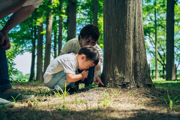 森の中を探検する男の子と親