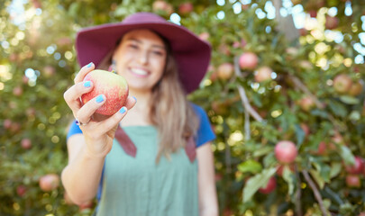 Young female farmer holding a freshly picked apple harvested herself in an orchard garden. Woman...