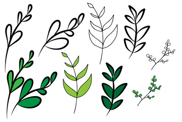 leaf vector illustration for decoration