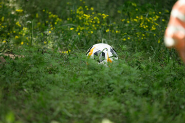The football is in the grass