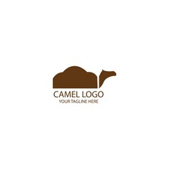 camel logo vector illustration design