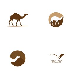 camel logo vector illustration design
