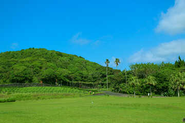 八丈植物公園（東京都八丈島）