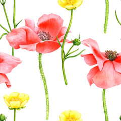 watercolor drawing seamless pattern with flowers, red poppies and yellow buttercups at white background , hand drawn botanical illustration